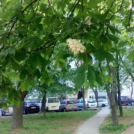 Cozy Near Metro Apartament *